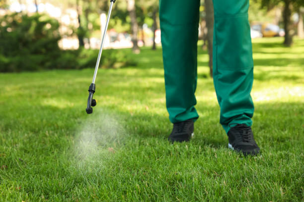 Best Rodent Control Near Me  in Fridley, MN
