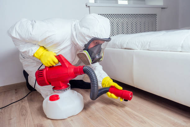Insect Control in Fridley, MN