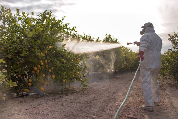 Best Mosquito Control Services  in Fridley, MN