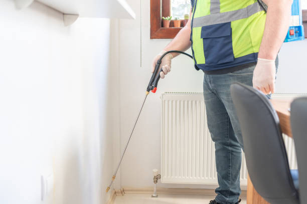 Best Wasp Removal Services  in Fridley, MN