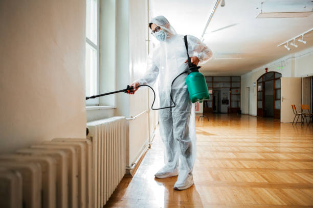Reliable Fridley, MN Pest Control Solutions