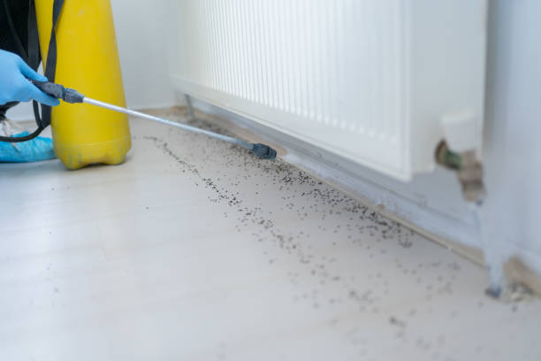 Pest Control for Restaurants in Fridley, MN