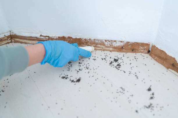 Best Emergency Pest Control  in Fridley, MN
