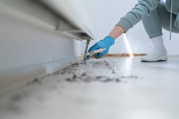 Reliable Fridley, MN Pest Control Solutions